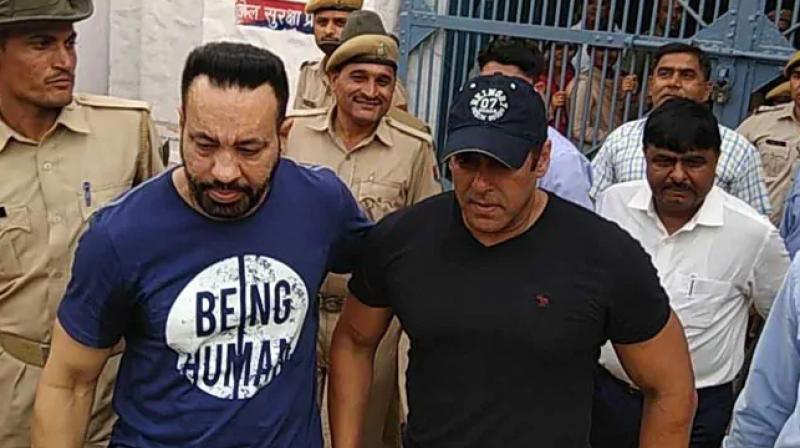 Salman Khan acquits from jodhpur court in submitting fake affidavit blackbuck case 