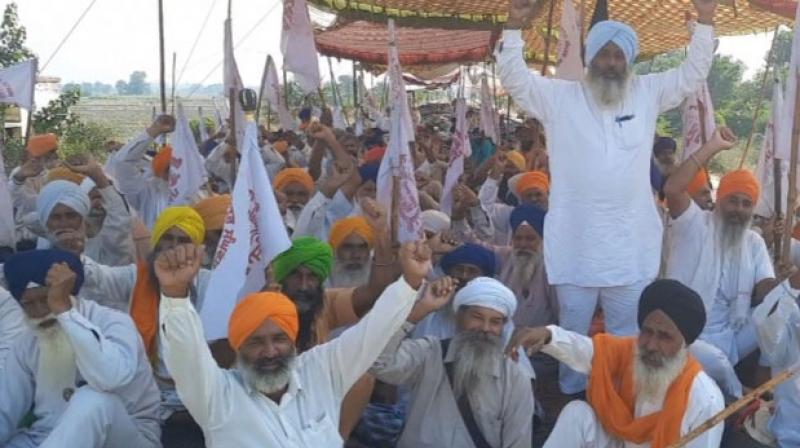 farmers protest farmers protest