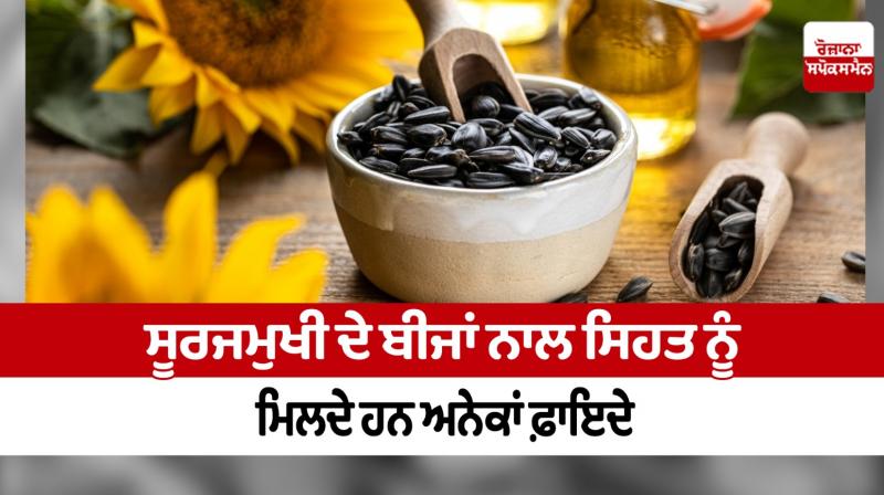 Sunflower seeds have many health benefits Sunflower seeds have many health benefits
