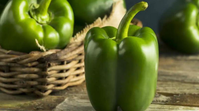 Capsicum is very useful for health Capsicum is very useful for health