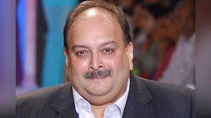 Interpol reportedly removes red notice against Mehul Choksi