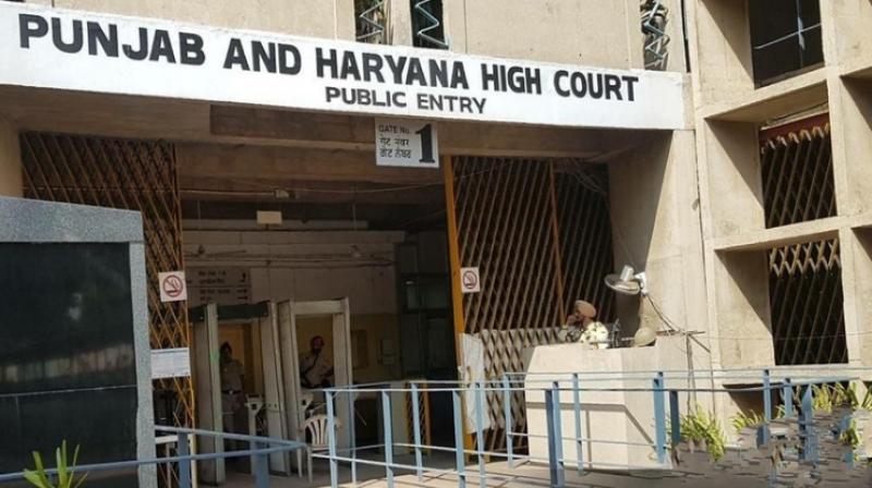 Female feticide a serious problem especially in Haryana and Punjab: High Court Female feticide a serious problem especially in Haryana and Punjab: High Court