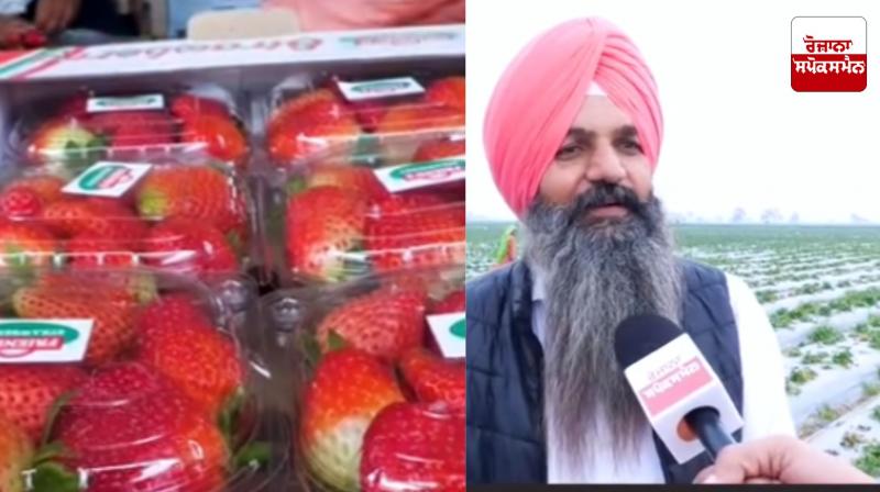 If you also do this farming, you won't have to go abroad, you will earn a lot of money. If you also do this farming, you won't have to go abroad, you will earn a lot of money.