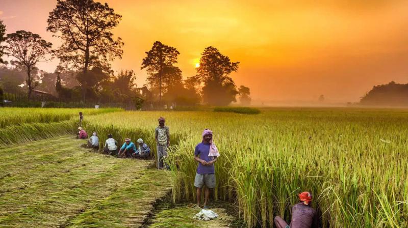 PM Kisan Scheme PM Kisan Scheme