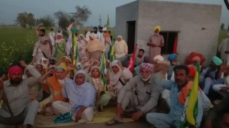 Kissan Kissan