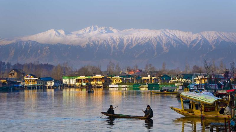 Earth's Rarest Fossil Deposit Kashmir (Srinagar) Earth's Rarest Fossil Deposit Kashmir (Srinagar)