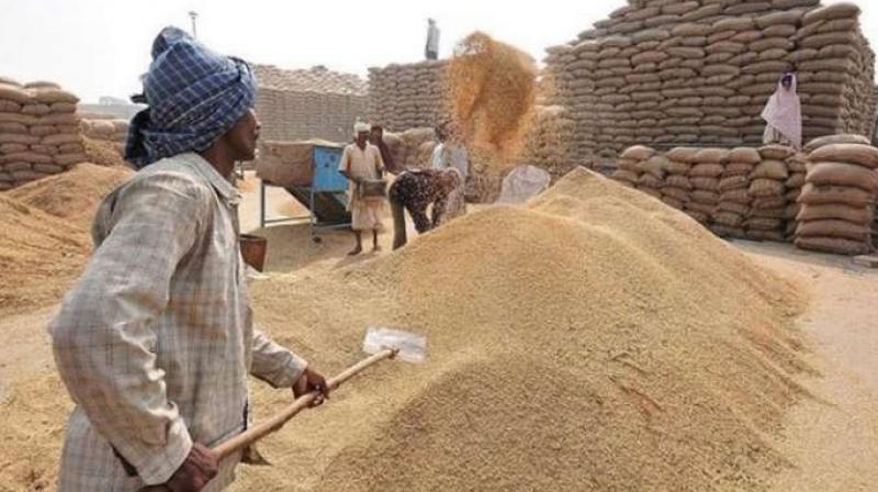  Paddy procurement season begins