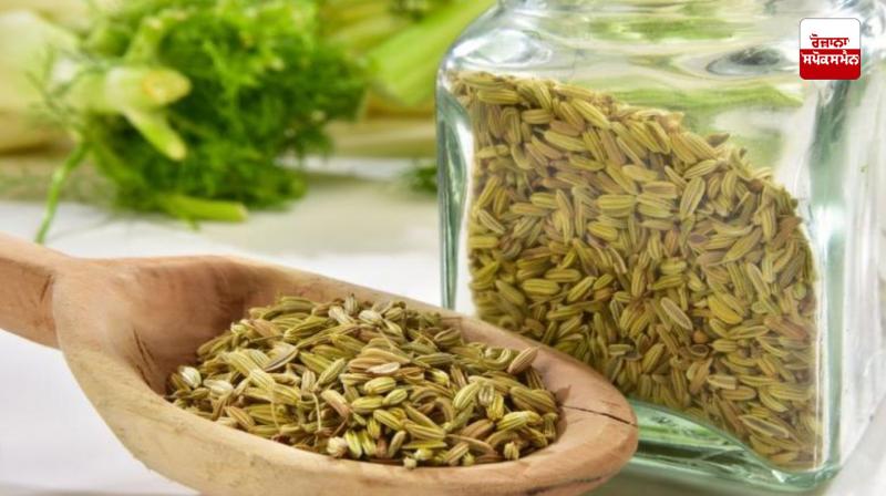 Anise is useful for health Anise is useful for health