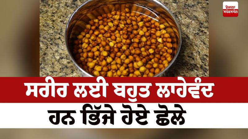 Soaked chickpeas are very beneficial for the body Soaked chickpeas are very beneficial for the body