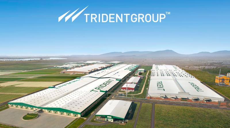 Trident Group Trident Group