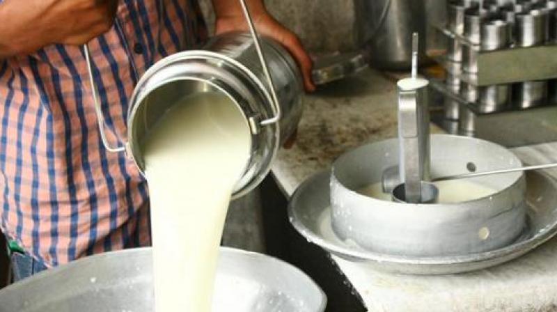 Milk Milk