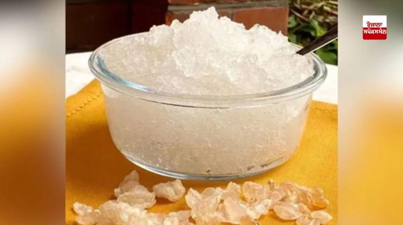 Drink Gund Katira in summer, there will be many benefits Drink Gund Katira in summer, there will be many benefits