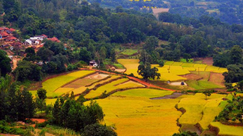 These gorgeous indian village pictures will force you change your travel plans