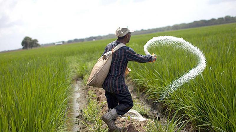 MP organic farming animal husbandry women state rural livelihood mission training