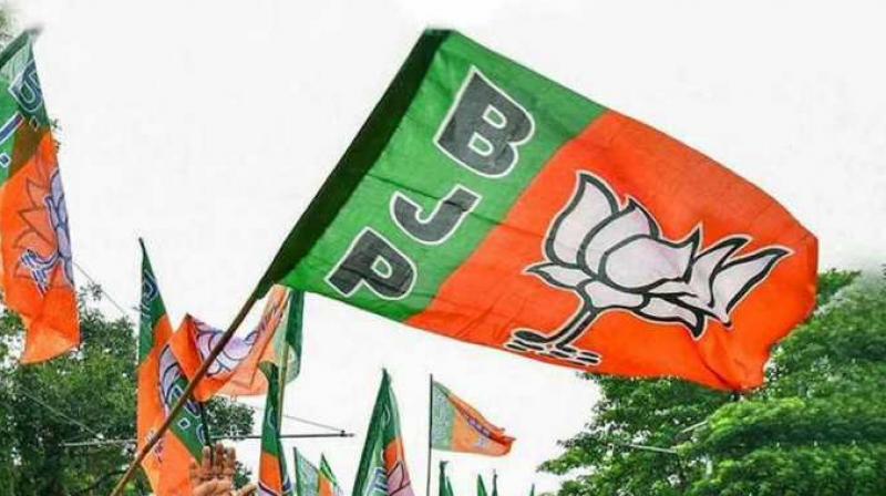 Rajya sabha elections: BJP loses four seats, will have to wait to reach 100