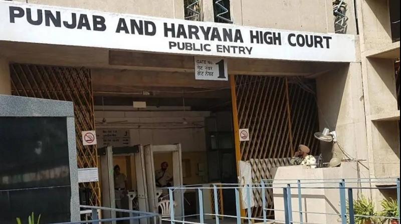 Punjab and Haryana High Court Punjab and Haryana High Court