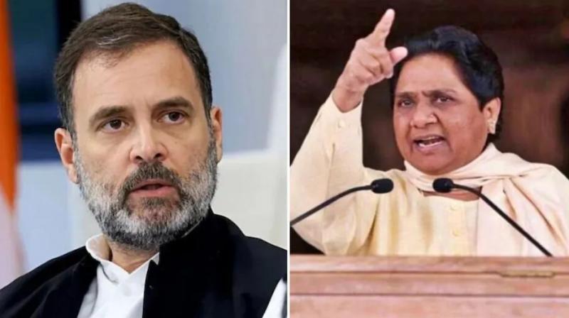 Rahul Gandhi And Mayawati Rahul Gandhi And Mayawati