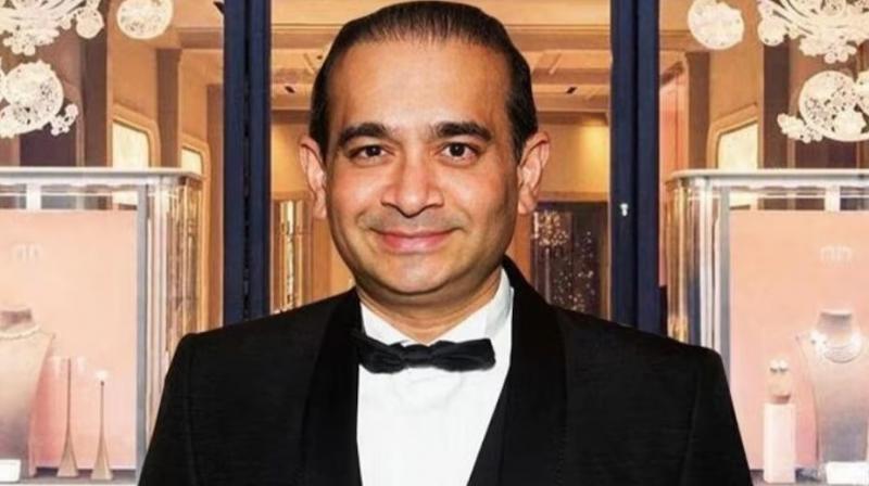 Nirav Modi Nirav Modi