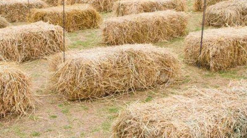 Straw Straw