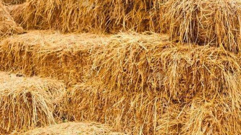 Straw Straw