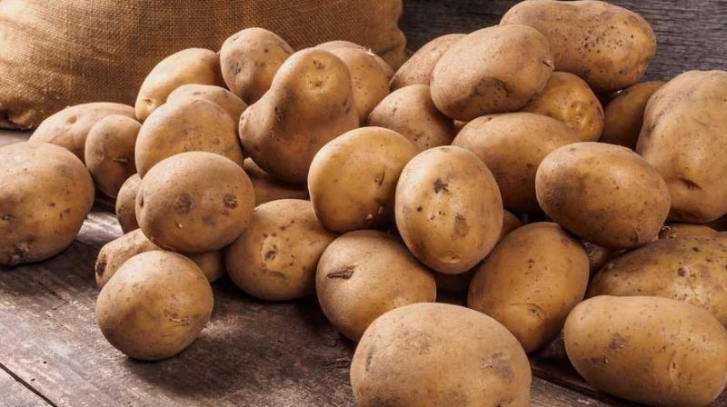Potato Price Potato Price