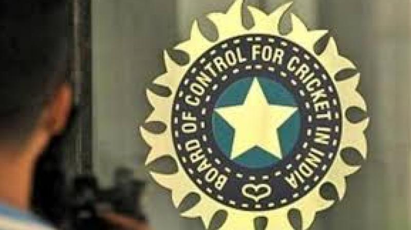 BCCI approves chandigarh cricket association