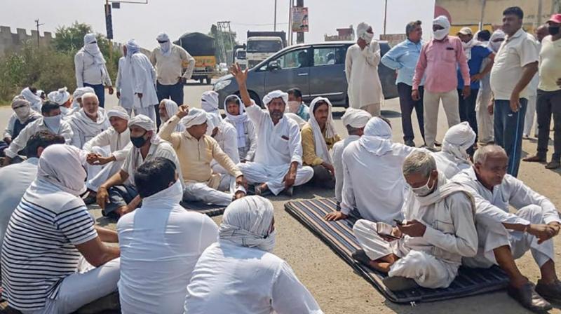 Punjab, Haryana Farmers