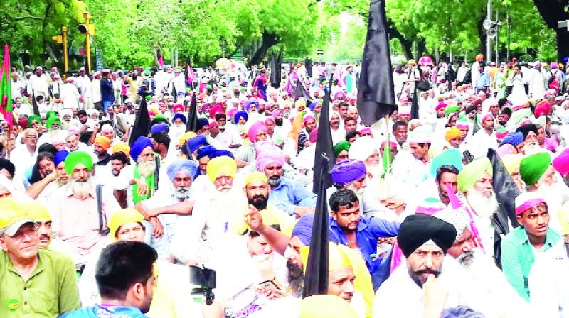 Farmers Protesting Farmers Protesting