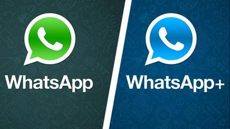 WhatsApp and WhatsApp Plus 