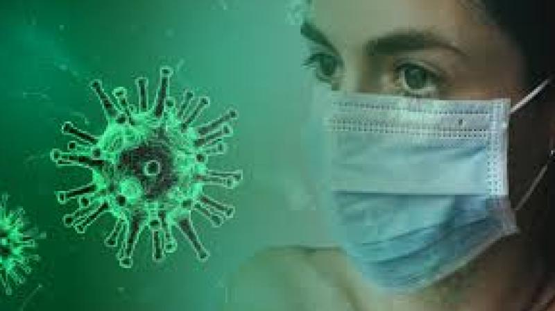 Corona Virus Corona Virus