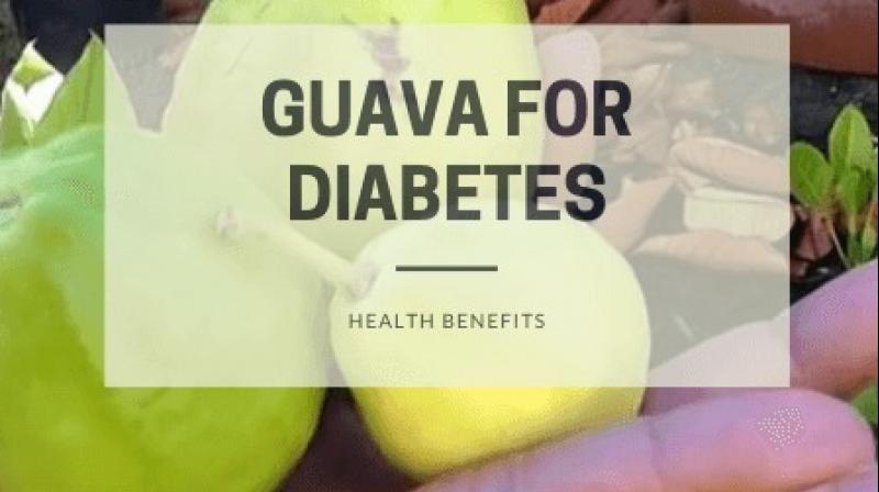  Guava controls Diabetes