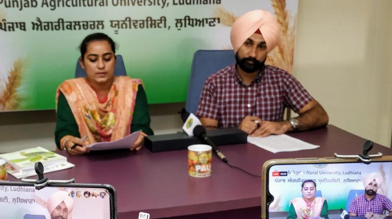 Solutions to farming problems suggested by experts in various disciplines in PAU's live program Solutions to farming problems suggested by experts in various disciplines in PAU's live program