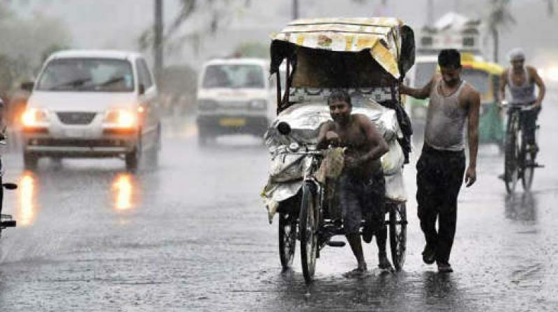 Rain Rain