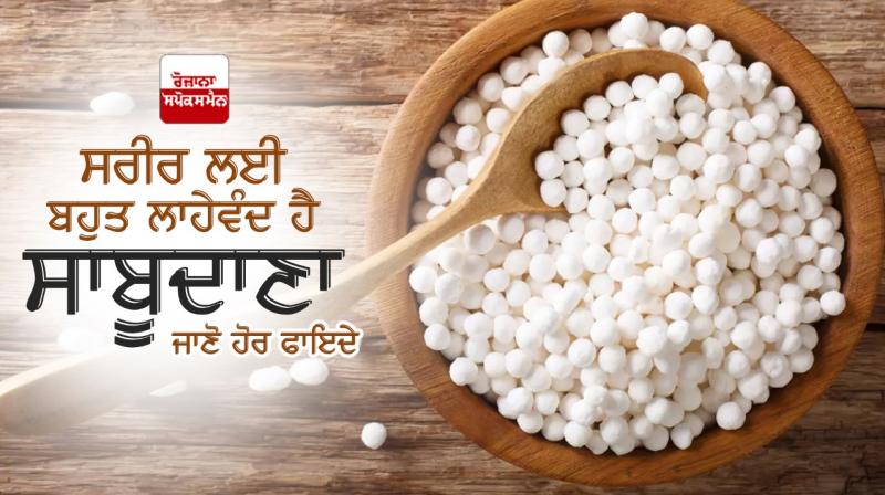 Health benefits of eating sabudana Health benefits of eating sabudana