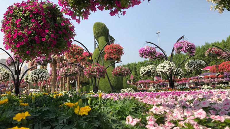 Photo Photo
