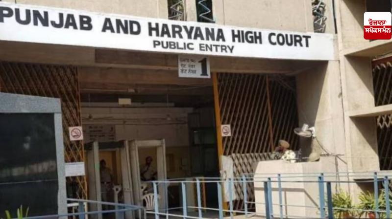 Punjab Haryana HighCourt News in punjabi Punjab Haryana HighCourt News in punjabi