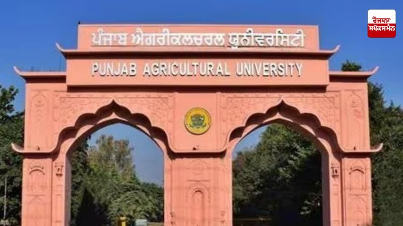 PAU Ludhiana's suspended employee reinstated PAU Ludhiana's suspended employee reinstated