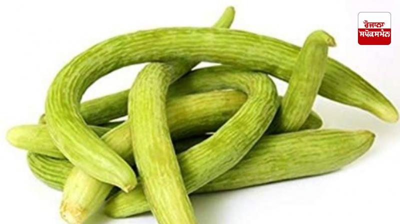 Tra Farming News in punjabi Tra Farming News in punjabi