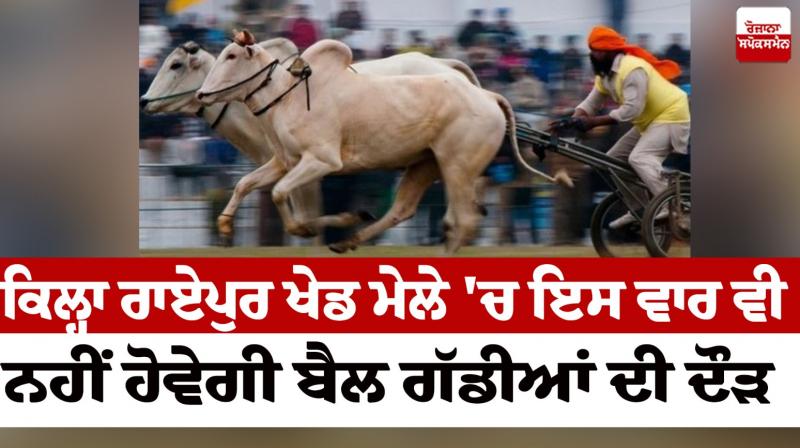 There will not be a bullock cart race at the Fort Raipur Sports Fair News in punjabi There will not be a bullock cart race at the Fort Raipur Sports Fair News in punjabi