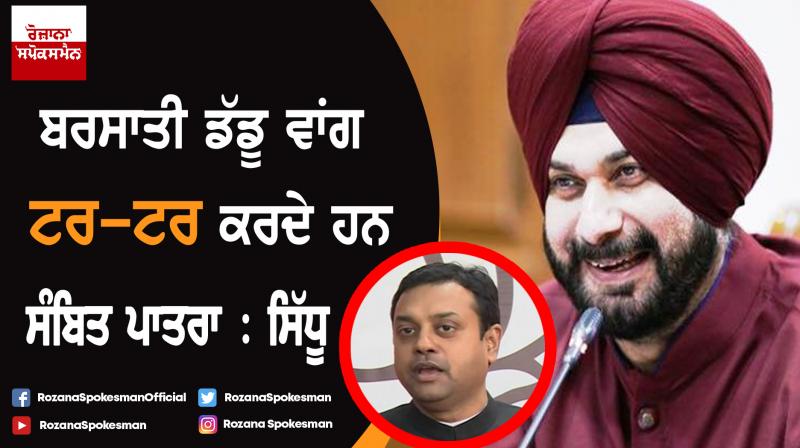 Sambit Patra speak like seasonal frogs : Navjot Singh Sidhu Sambit Patra speak like seasonal frogs : Navjot Singh Sidhu