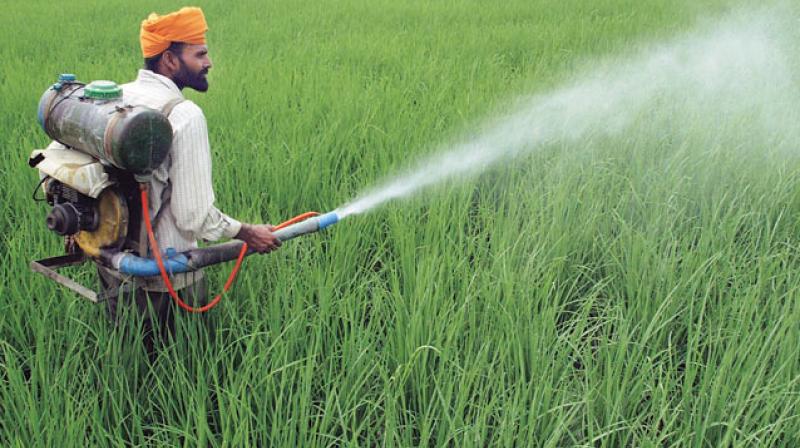 Pesticides Pesticides