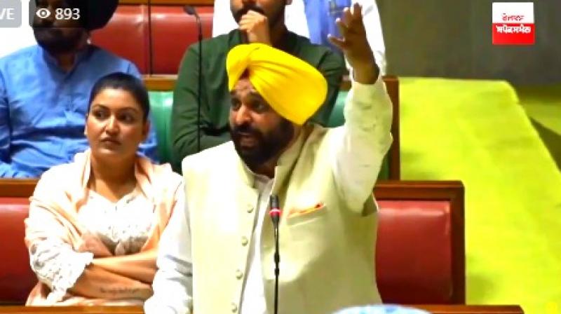 CM Bhagwant Mann CM Bhagwant Mann