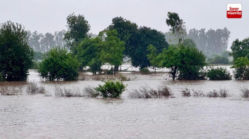 Punjab Flood News in punjabi Punjab Flood News in punjabi
