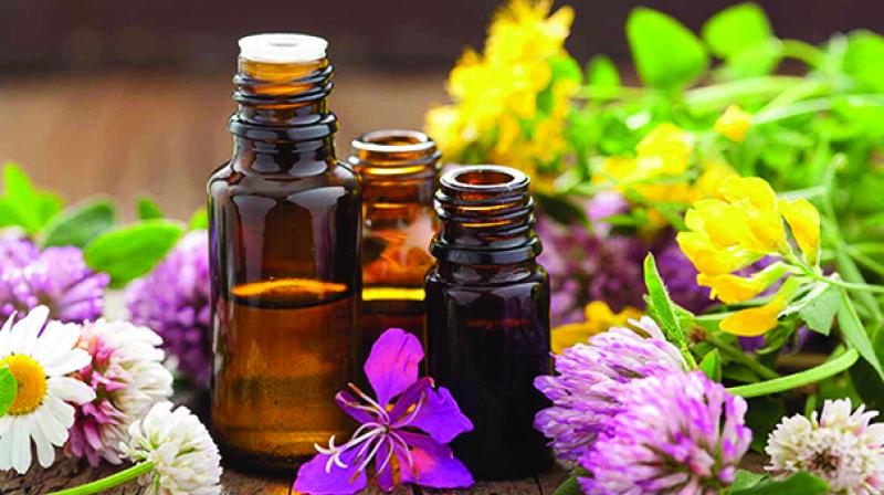 Freganant your home with scent Freganant your home with scent