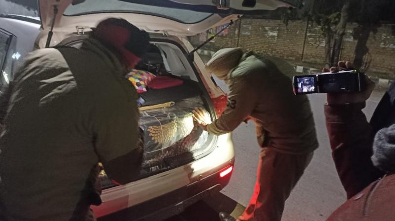23.8 crore items seized from Punjab after implementation of Election Code 23.8 crore items seized from Punjab after implementation of Election Code