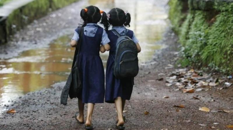 Birth rate of girls increased in 5 years Birth rate of girls increased in 5 years