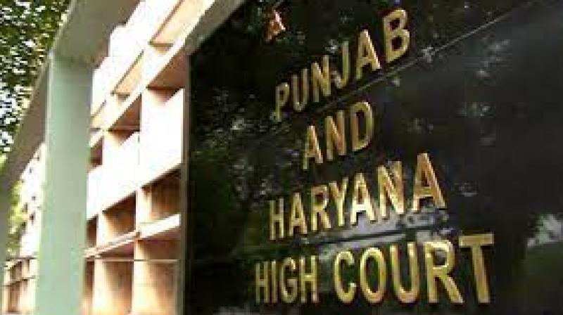 Punjab & Haryana High court (representative) Punjab & Haryana High court (representative)