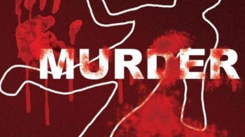murder murder