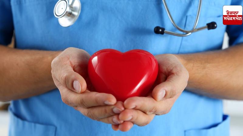 Heart diseases cause one-third of deaths in India: Report Heart diseases cause one-third of deaths in India: Report
