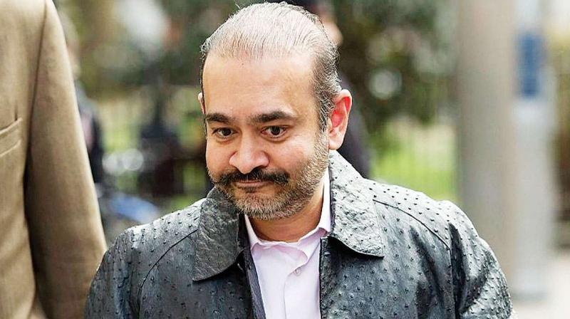 Nirav Modi